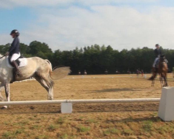 Reitturnier Wietmarschen 2018