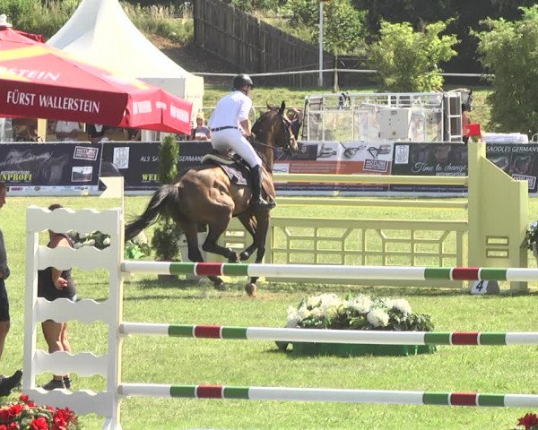 Reitturnier Nördlingen 2018
