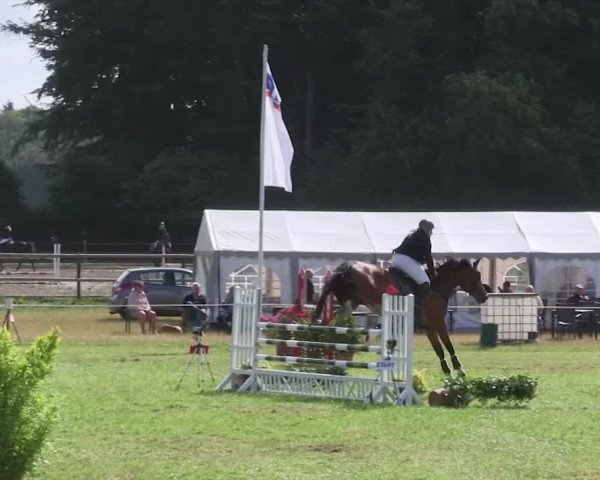 Reitturnier Hanerau-Hademarschen 2018