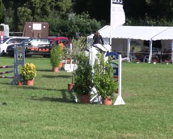 Reitturnier Hanerau-Hademarschen 2018