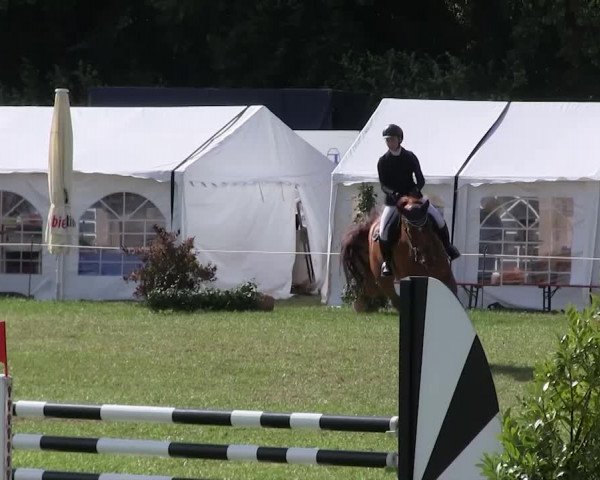 Reitturnier Hanerau-Hademarschen 2018