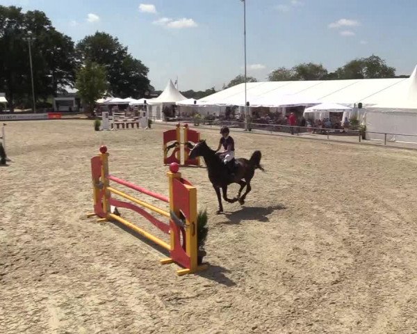 Reitturnier Wietmarschen 2018