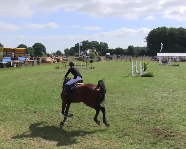 Reitturnier Hanerau-Hademarschen 2018