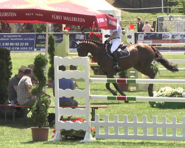 Reitturnier Nördlingen 2018
