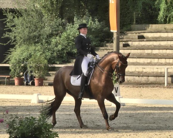 Reitturnier Waiblingen 2018