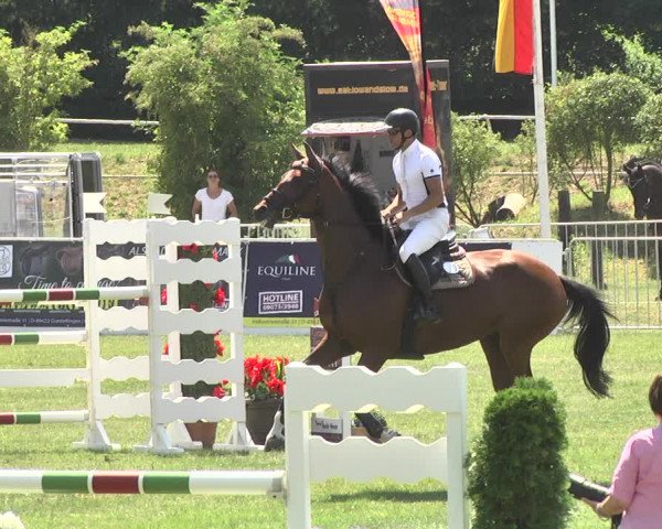 Reitturnier Nördlingen 2018