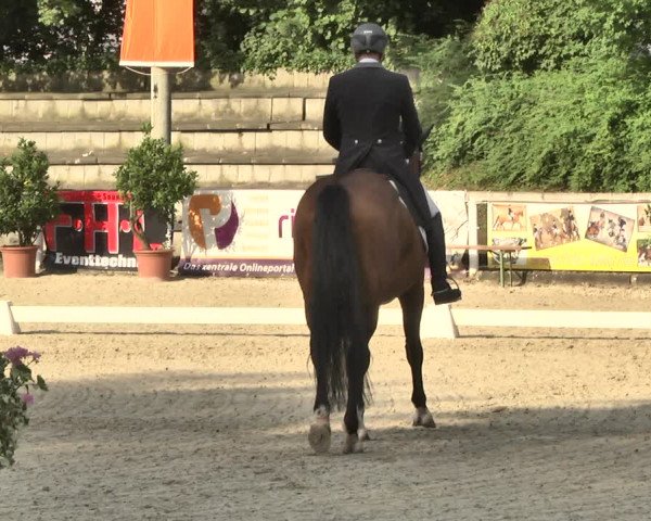 Reitturnier Waiblingen 2018