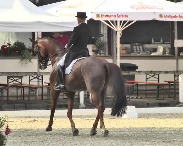 Reitturnier Waiblingen 2018