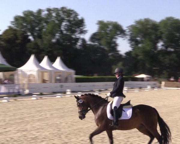 Reitturnier Münster-Handorf 2018
