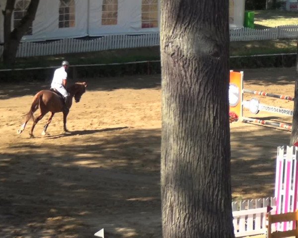 Reitturnier CSN Calvörde 2018
