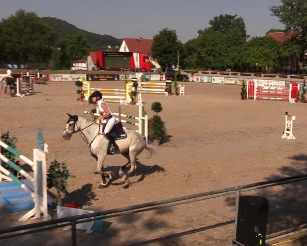 Görlitzer Springtage 2018
