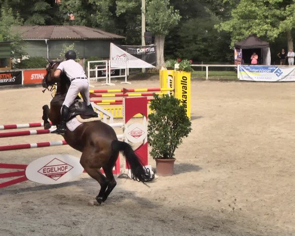 Reitturnier Waiblingen 2018