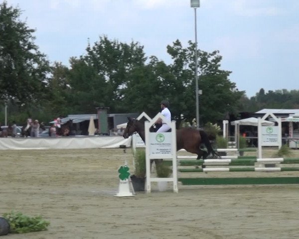 Kreisturnier auf dem Hilgershof 2018