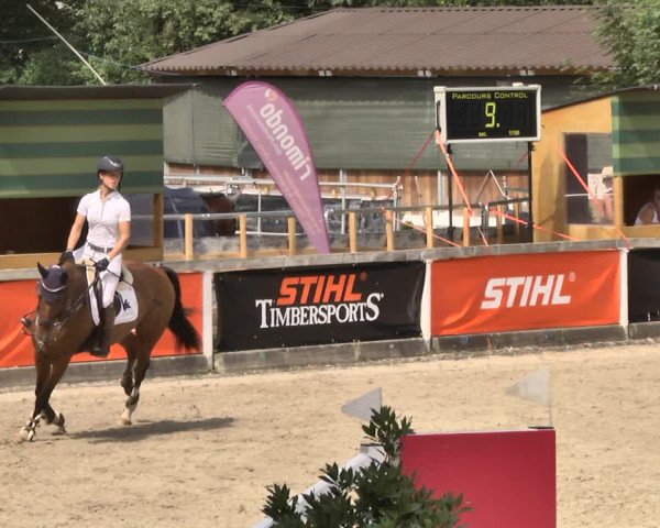 Reitturnier Waiblingen 2018