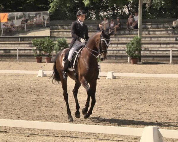 Reitturnier Waiblingen 2018