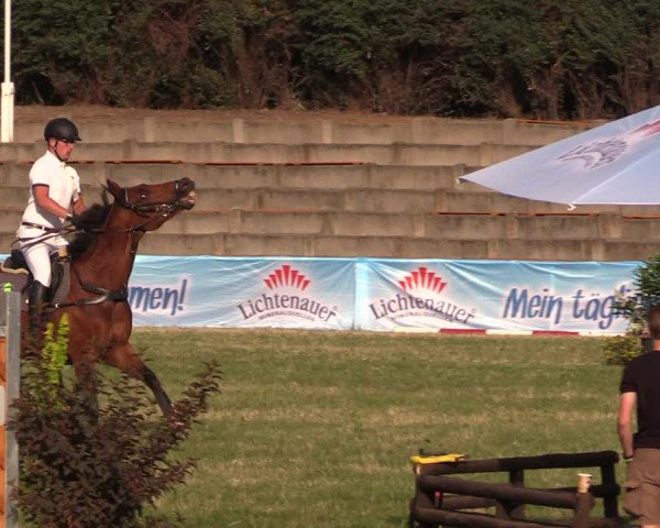 Reitturnier Baschütz bei Bautzen 2018