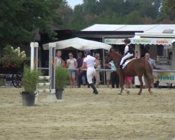 Kreisturnier auf dem Hilgershof 2018