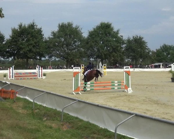 Kreisturnier auf dem Hilgershof 2018