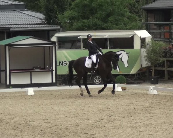 Reitsport Festival am Gut Jagenberg - Solingen 2021