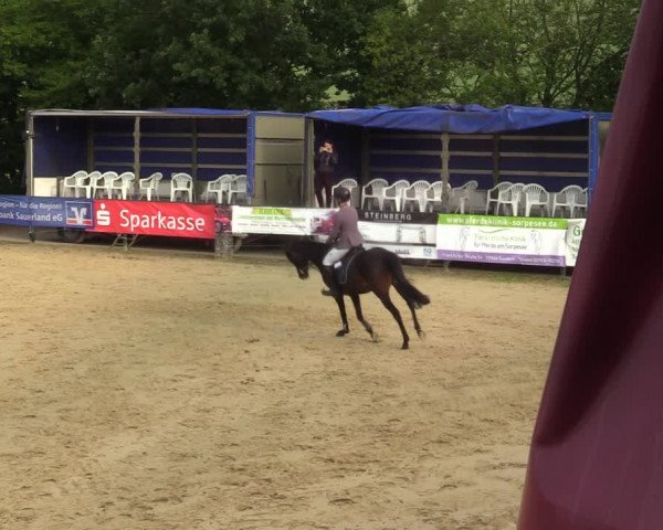 Reitturnier Hellefeld 2021