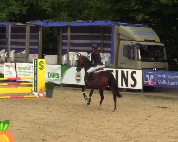 Reitturnier Hellefeld 2021