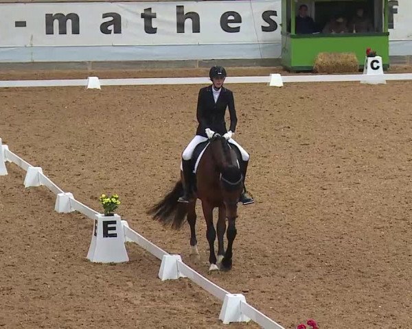 Dressurturnier Kreuth 2022