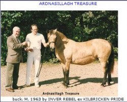 broodmare Ardnasillagh Treasure (Connemara Pony, 1963, from Inver Rebel)