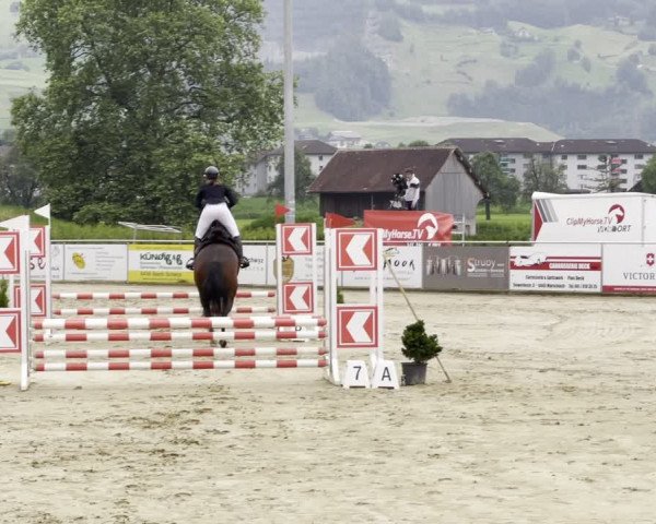 Video of Casper V