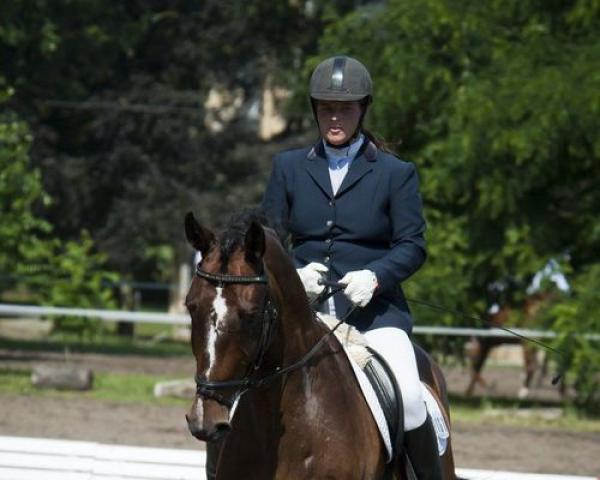 Skokový kůň Lounero (Holštýnský kůň, 2001, od Loutano)