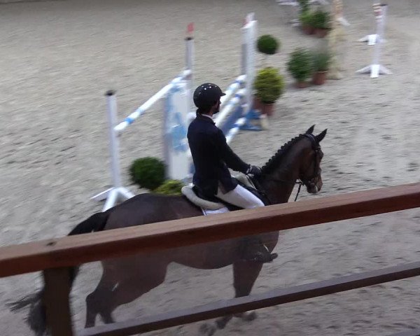 Reitturnier Hamburg-Friedrichshulde/Sylva Kuhrt 2022