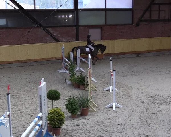 Reitturnier Hamburg-Friedrichshulde/Sylva Kuhrt 2022