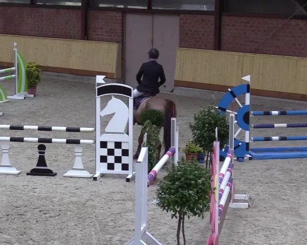 Reitturnier Hamburg-Friedrichshulde/Sylva Kuhrt 2022