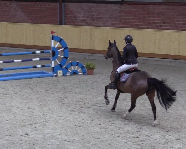 Reitturnier Hamburg-Friedrichshulde/Sylva Kuhrt 2022