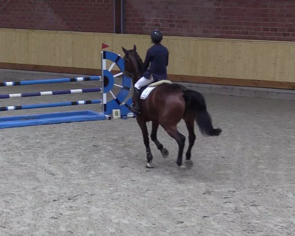 Reitturnier Hamburg-Friedrichshulde/Sylva Kuhrt 2022