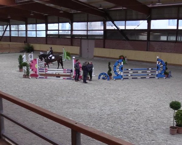 Reitturnier Hamburg-Friedrichshulde/Sylva Kuhrt 2022