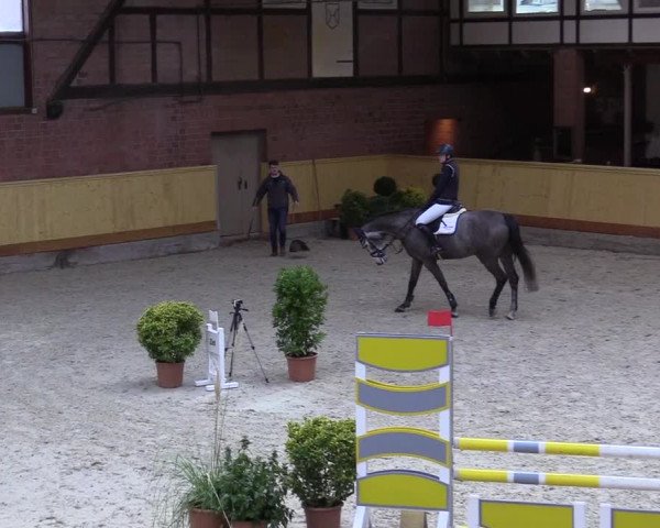 Reitturnier Hamburg-Friedrichshulde/Sylva Kuhrt 2022