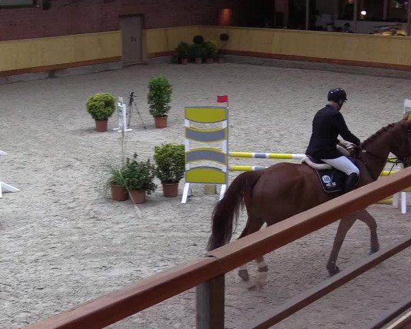 Reitturnier Hamburg-Friedrichshulde/Sylva Kuhrt 2022