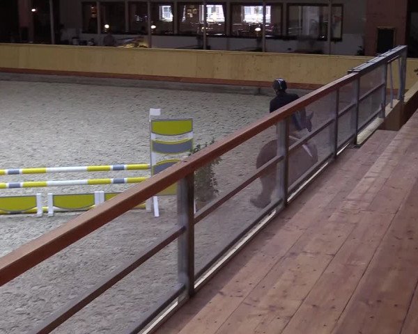 Reitturnier Hamburg-Friedrichshulde/Sylva Kuhrt 2022