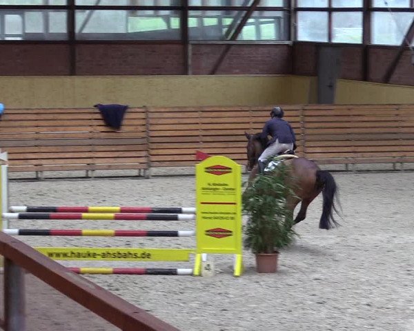 Reitturnier Hamburg-Friedrichshulde/Sylva Kuhrt 2022
