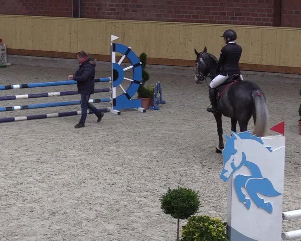 Reitturnier Hamburg-Friedrichshulde/Sylva Kuhrt 2022