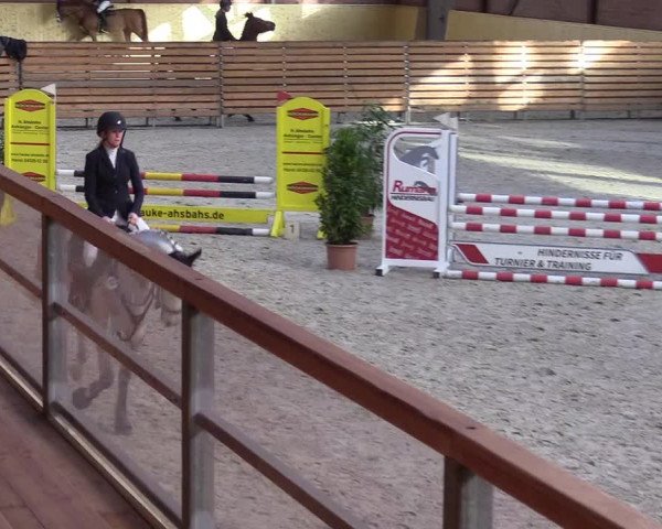 Reitturnier Hamburg-Friedrichshulde/Sylva Kuhrt 2022