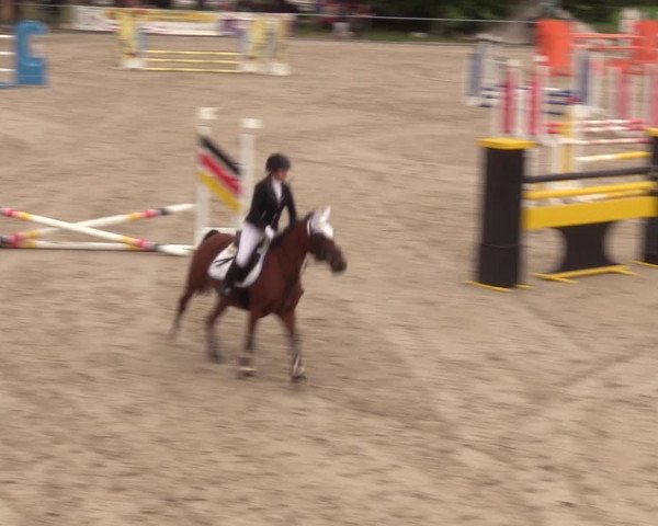 Springreitturnier Hohburg 2021