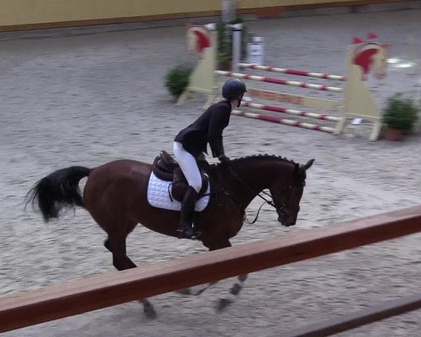Reitturnier Hamburg-Friedrichshulde/Sylva Kuhrt 2022