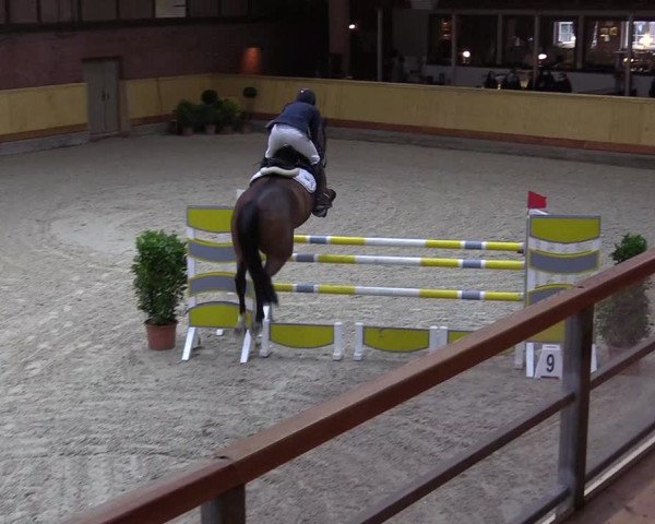 Reitturnier Hamburg-Friedrichshulde/Sylva Kuhrt 2022