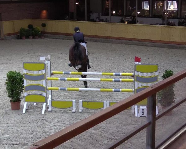 Reitturnier Hamburg-Friedrichshulde/Sylva Kuhrt 2022