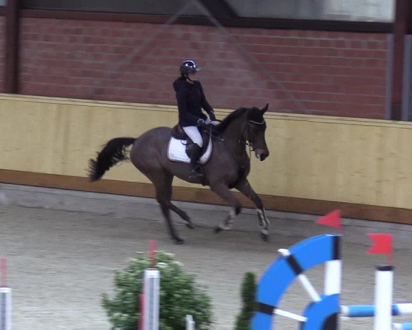 Reitturnier Hamburg-Friedrichshulde/Sylva Kuhrt 2022