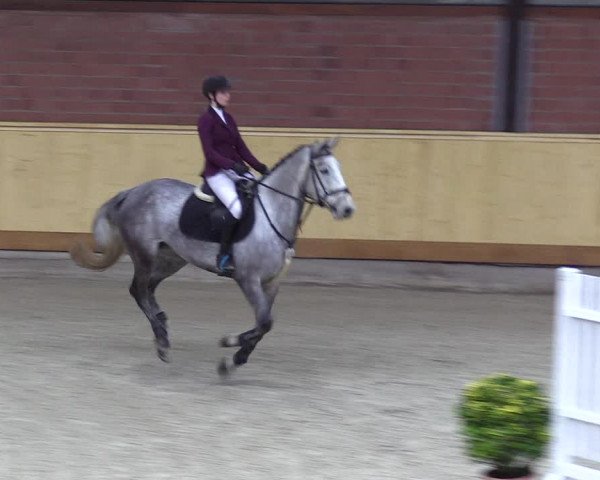 Reitturnier Hamburg-Friedrichshulde/Sylva Kuhrt 2022