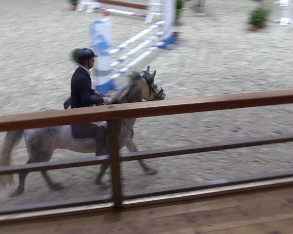Reitturnier Hamburg-Friedrichshulde/Sylva Kuhrt 2022