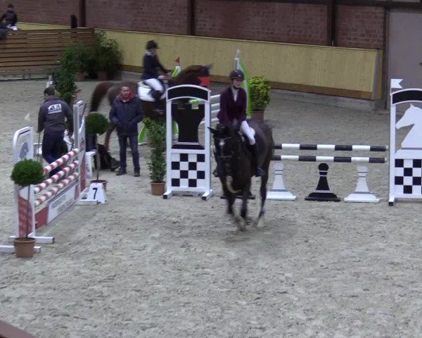Reitturnier Hamburg-Friedrichshulde/Sylva Kuhrt 2022