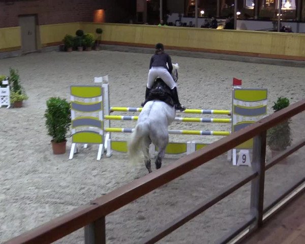 Reitturnier Hamburg-Friedrichshulde/Sylva Kuhrt 2022